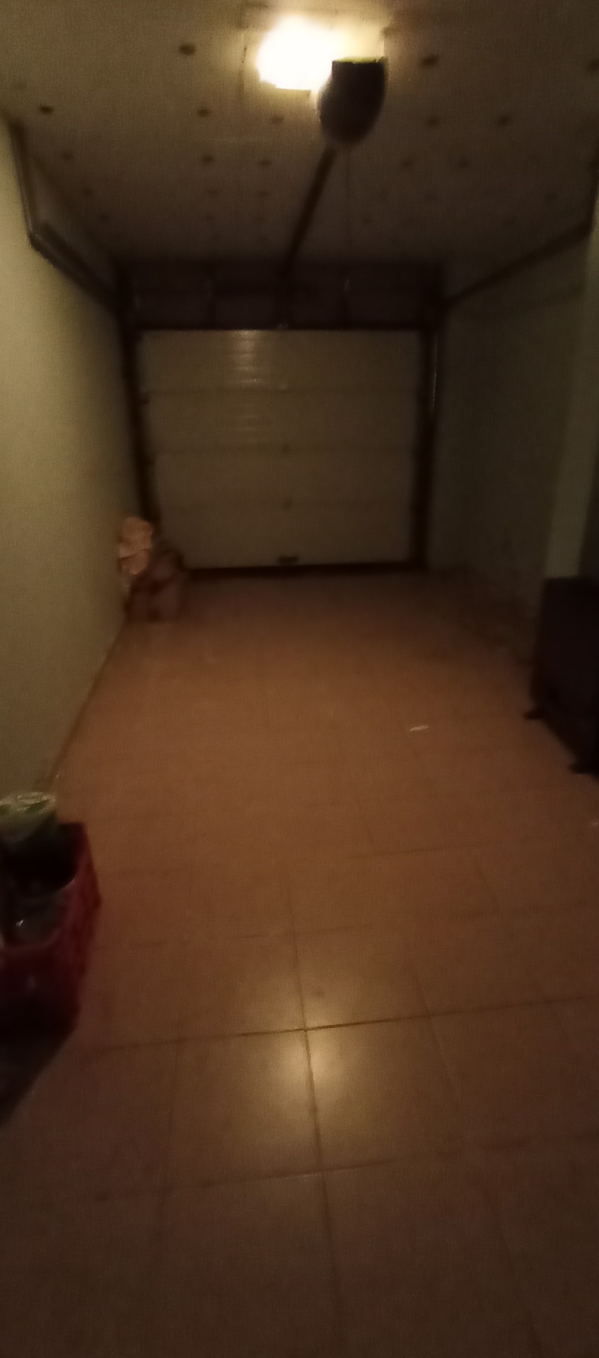 Fotoğraf 15