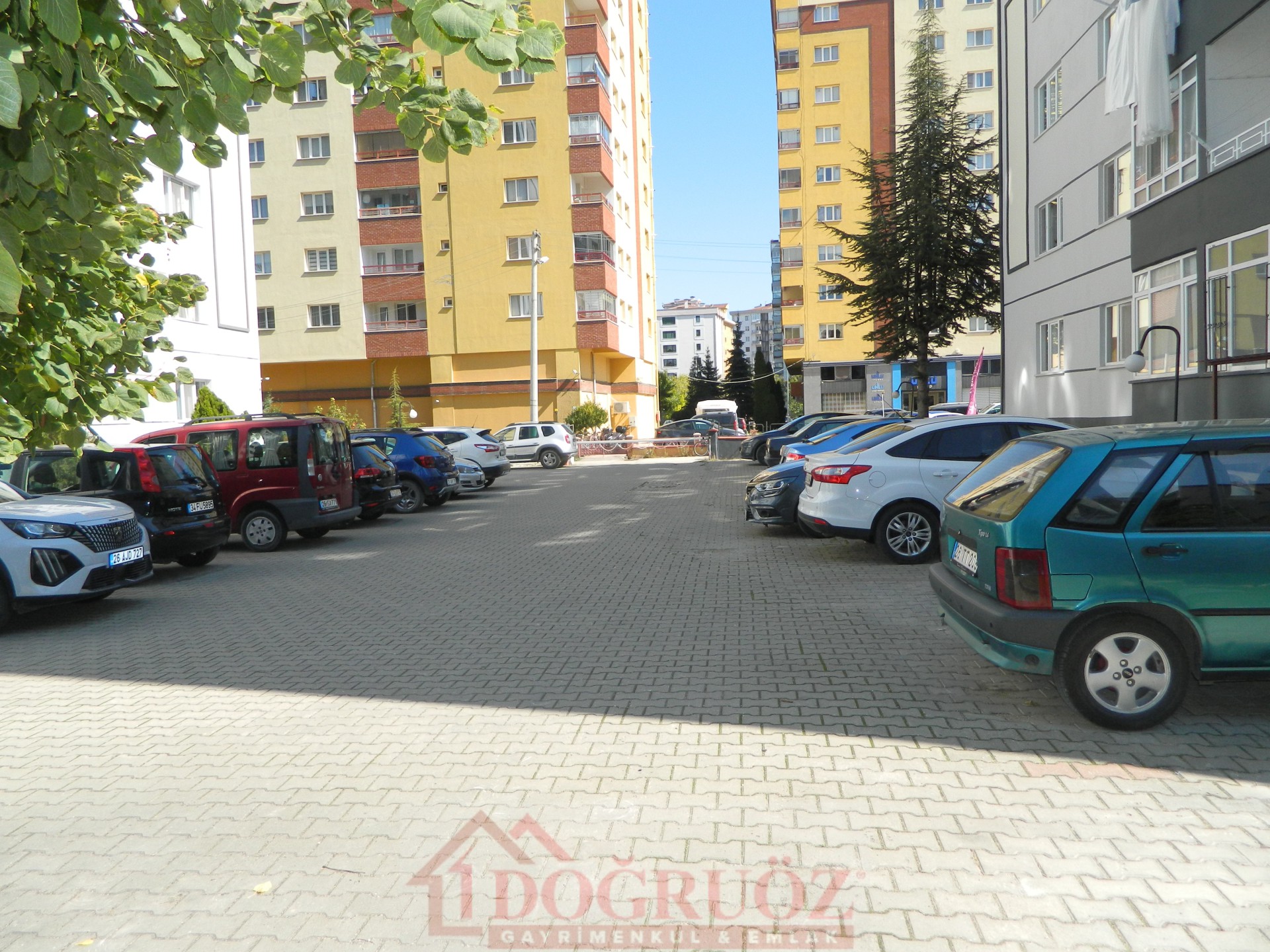 Fotoğraf 33
