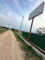Satlk Arazi (Arsa/Tarla) (Arsa)