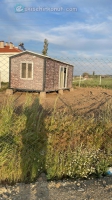 SatlkArazi (Tarla)
